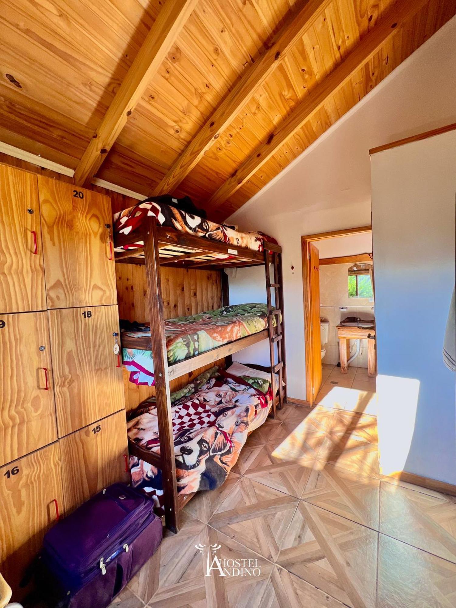 Hostel Andino Villa Pehuenia Dış mekan fotoğraf