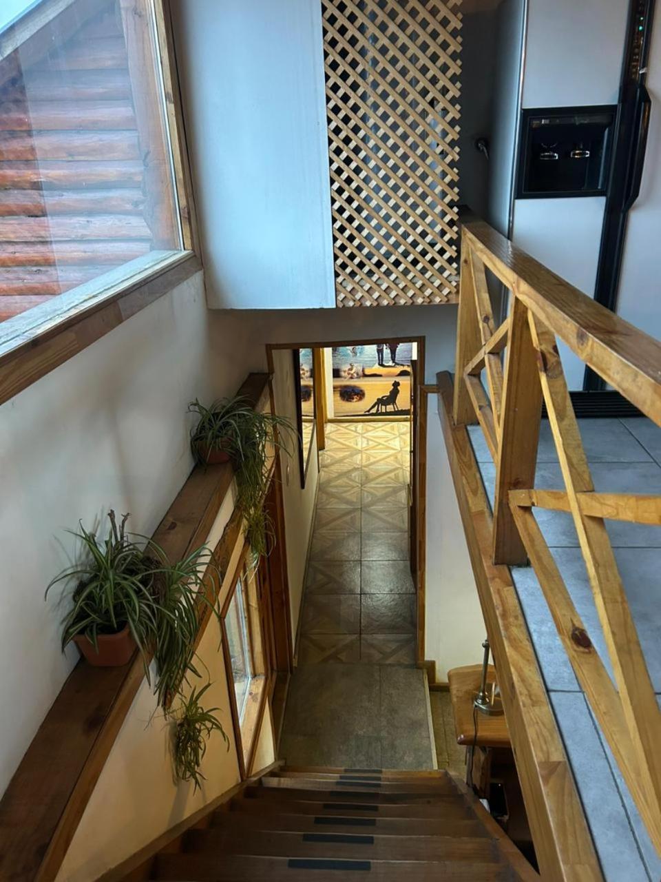 Hostel Andino Villa Pehuenia Dış mekan fotoğraf