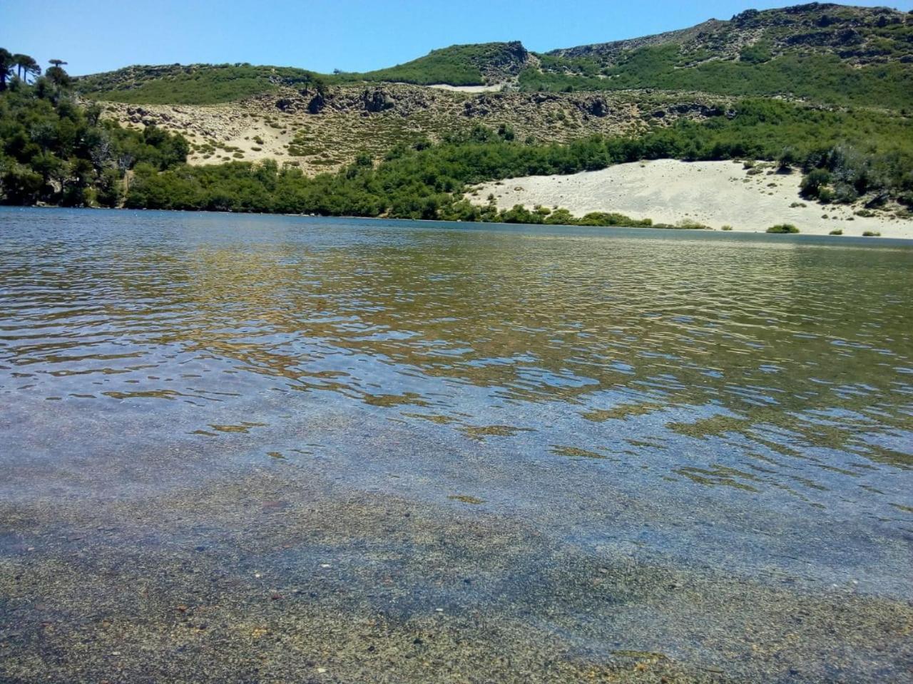 Hostel Andino Villa Pehuenia Dış mekan fotoğraf